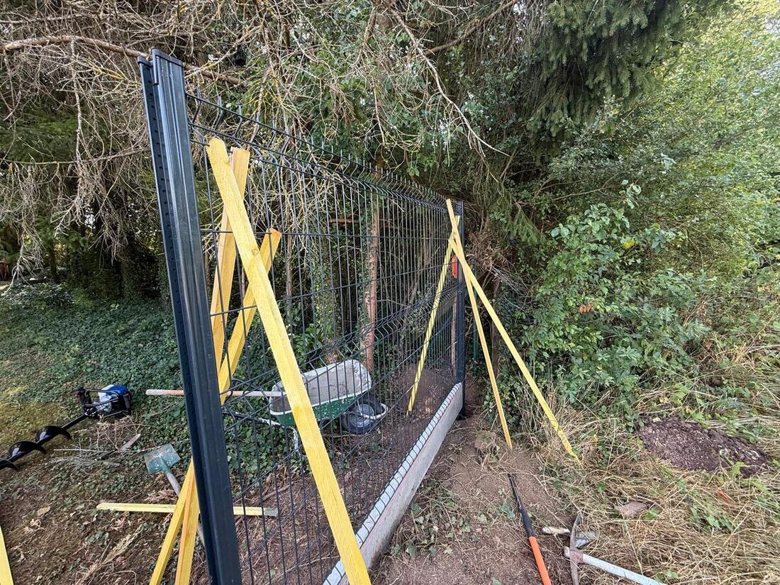 Panneaux de clôture rigide maintenus par des étais pendant la prise du béton