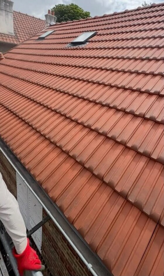 Toiture propre après traitement
