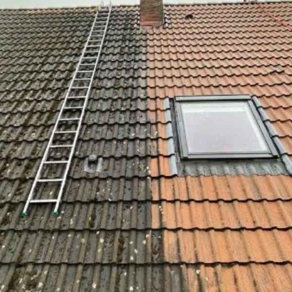 Geste de démoussage sur un versant de toiture, second angle